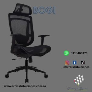 SIilla Bogi