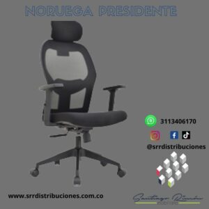 SIilla Noruega Presidente
