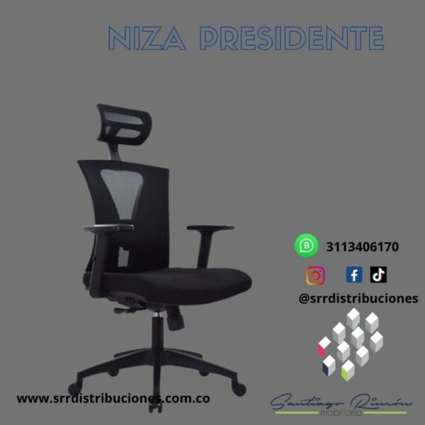 SIilla Niza Presidente