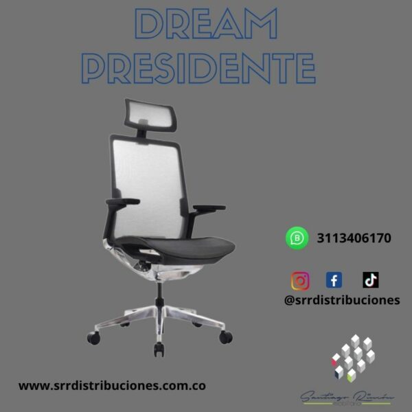 Silla Dream Presidente