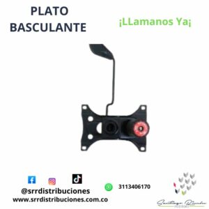 plato basculante 26x15