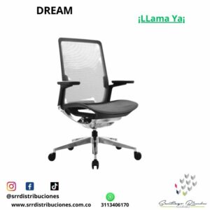 Silla Dream
