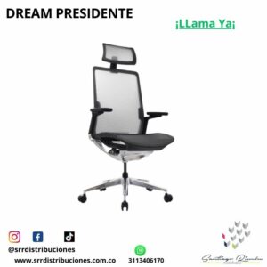 Silla Dream Presidente